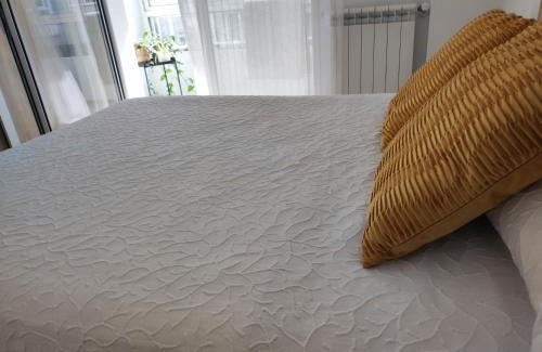 Pontevedra Apartamento | APARTAMENTO BOLBORETA