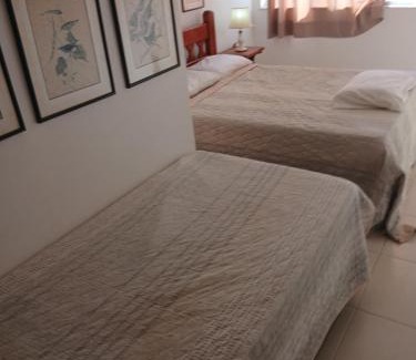 Centro Apartamento | Apartamento