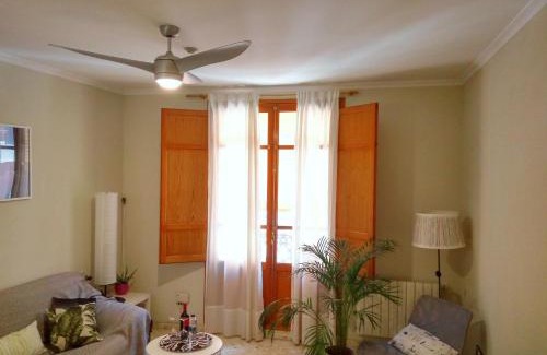 El Botanic Apartamento | Apartamento céntrico Torres de Quart.