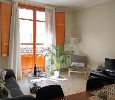 El Botanic Apartamento | Apartamento céntrico Torres de Quart.