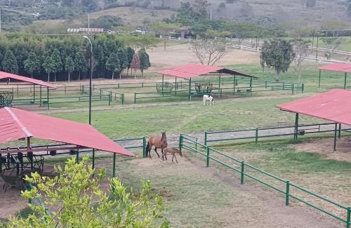 Fusagasuga Apartamento | Apartamento Campestre