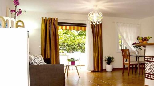 Puerto de la Cruz Apartamento | Apartamento con jardín y piscina B