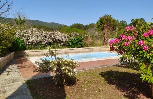 Samieira Apartamento | Apartamento con jardín y piscina temporada verano privados