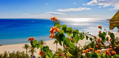 Raval Roig Apartamento | Apartamento Deluxe Playa Alicante