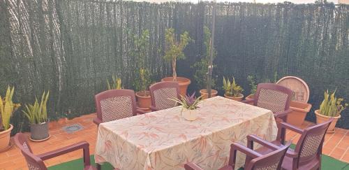 El Morche Apartamento | Apartamento El Patio de Alborán