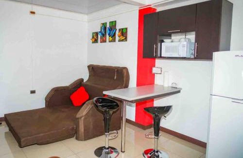 Barrio Pilo Apartamento | Apartamento en el centro de la fortuna