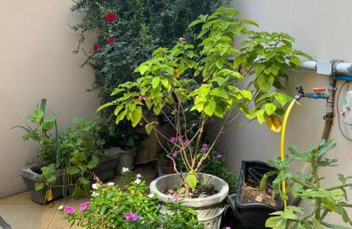 Vila Regina Apartamento | Apartamento Encantador B