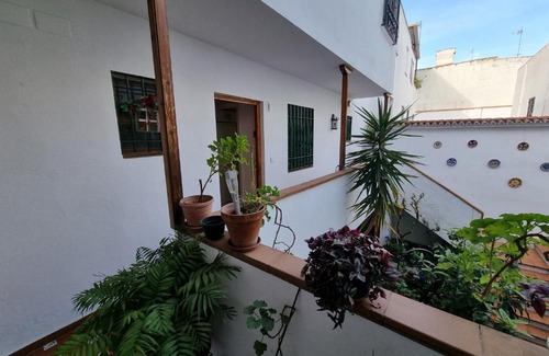 San Basilio Apartamento | APARTAMENTO ENTRE PATIOS SAN BASILIO