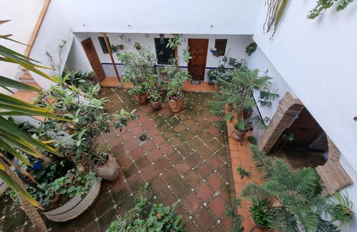 San Basilio Apartamento | APARTAMENTO ENTRE PATIOS SAN BASILIO