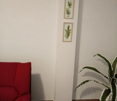 Santa Cruz de la Palma Apartamento | APARTAMENTO BEDIESTA