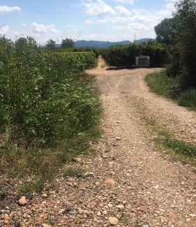 Tavernes de la Valldigna Apartamento | Apartamento luminoso cerca de Gandia
