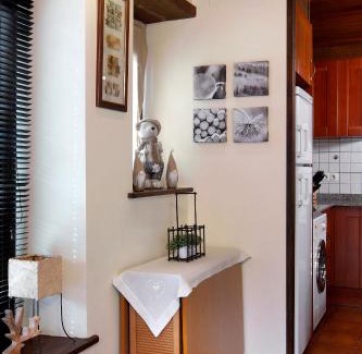 Gausach Apartamento | Apartamento La Santeta de Aran