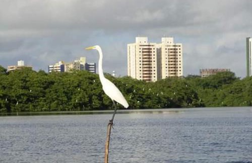 Coroa do Meio Apartamento | Apartamento para alugar em Aracaju
