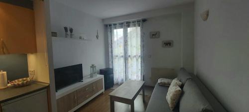 Candanchu Apartamento | Apartamento Riglos Candanchu