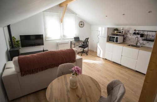 Aoiz Apartamento | Apartamento Rio Irati