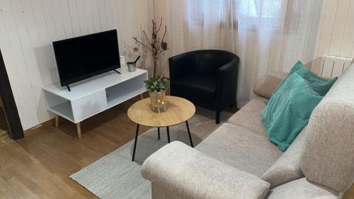 Villanua Apartamento | Apartamento Selva Blanca