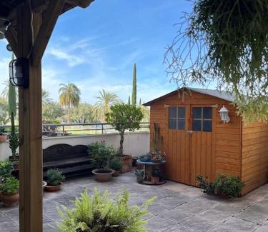 Jaén Apartamento | Apartamento terraza privada