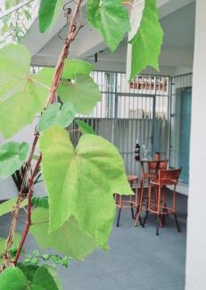 Salvador Apartamento | Apartamento Vila Aconchego Salmão