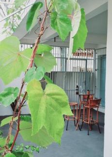 Salvador Apartamento | Apartamento Vila Aconchego Cinza