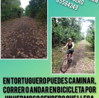 Tortuguero Apartamento | Apartamentos Caimán Tortuguero
