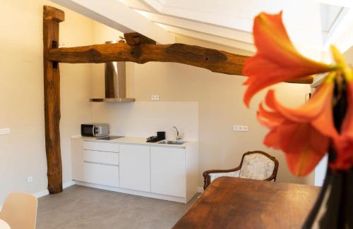 Baztan Apartamento | Apartamentos en Baztan HIRU KABI, HIGA