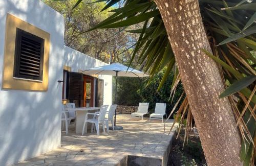Santa Eulalia del Río Apartamento | Apartamentos Pinosol