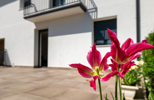 Iturmendi Apartamento | Apartamentos Herri Ondo REFUGIO CLIMATICO