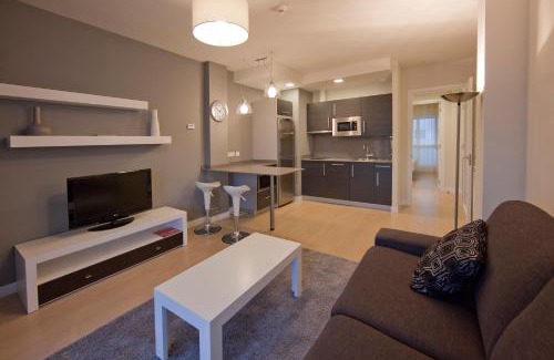 Arriaga-Lakua Apartamento | Apartamentos Irenaz