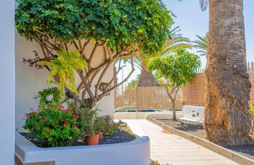 Puerto del Carmen Apartamento | Apartamentos Isla de Lobos - Adults Only