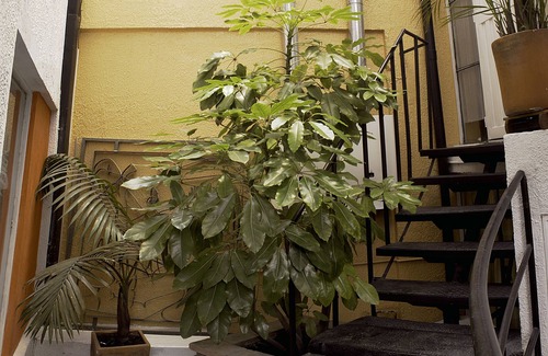 Barrios Unidos Apartamento | Apartamentos Los Alcázares