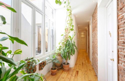 Barrio de las Letras Apartamento | Apartamentos Matute 11