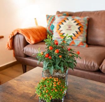 Cangas de Onís Apartamento | Apartamentos Montes Vindios