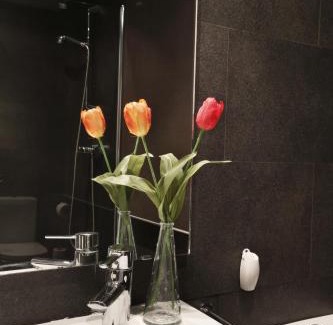 Eixample Apartamento | Apartamentos Olivier