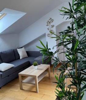 Olmedo Apartamento | Apartamentos Suites Olmedo
