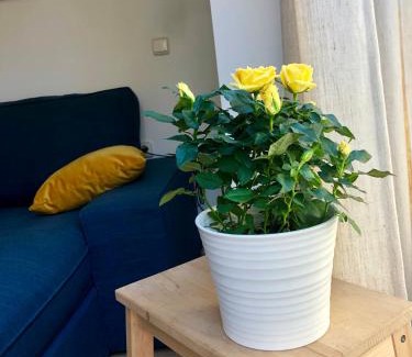 Almeria Centro Apartamento | Apartamentos Vida Almería