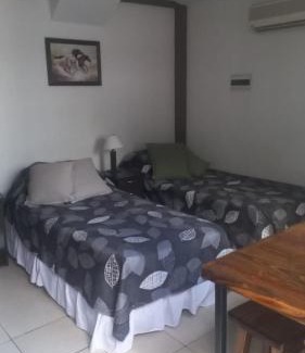 Centro de la ciudad de Mendoza Apartamento | Apartamentos Willy - en Zona Residencial con Estacionamiento Gratis