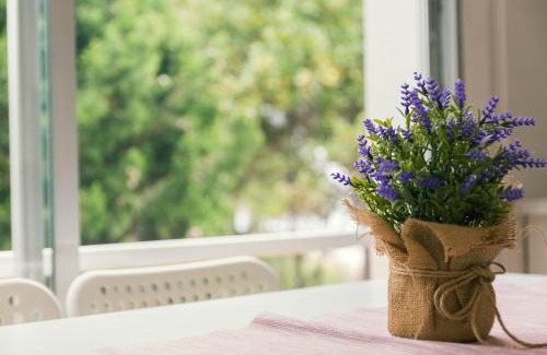 Llanca Apartamento | Apartaments Falcó