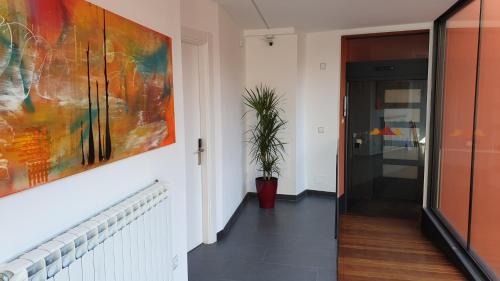 Olot Apartamento | Apartaments y Habitacions Entre Volcans