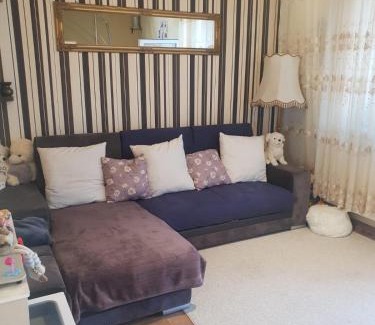 Oradea Apartamento | Apartamentul Iulia Oradea