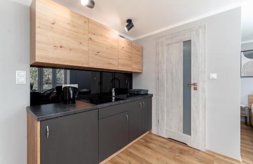 Debica Apartamento | Apartamenty blisko Rynku "Kamienica"