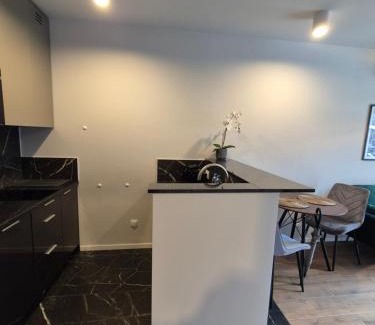 Brynow Apartamento | Apartamenty Ceglana Park - prywatny parking - piękne osiedle - nowe luksusowe mieszkanie z biurkiem