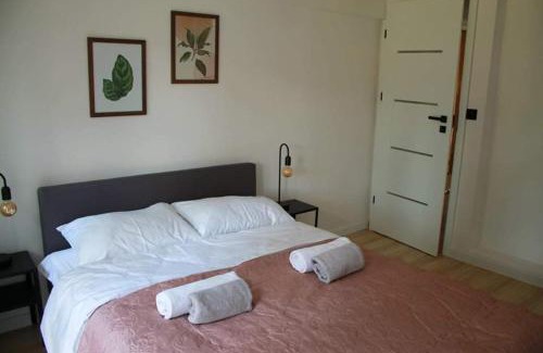 Lesko Apartamento | Apartamenty Fredry