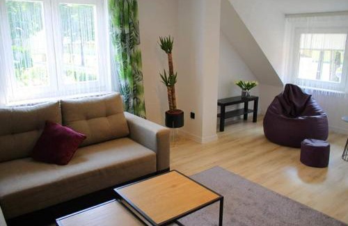 Lesko Apartamento | Apartamenty Fredry