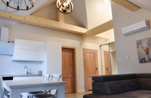 Szlachtowa Apartamento | Apartamenty Homole Mansarda