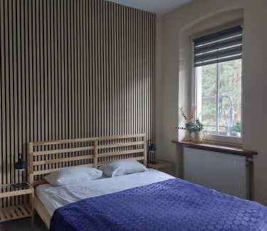 Miedzygorze Apartamento | Apartamenty Kaskada