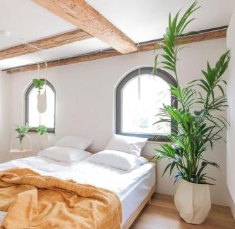 Stare Miasto Apartamento | Apartamenty Monka