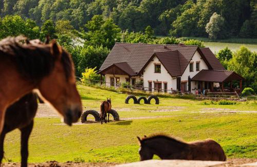 Pomerania Province Apartamento | Apartamenty na Pastwisku
