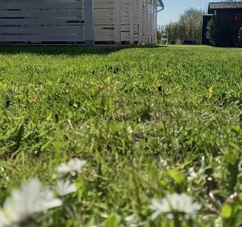 Mielno Apartamento | Apartamenty Na Wschodniej