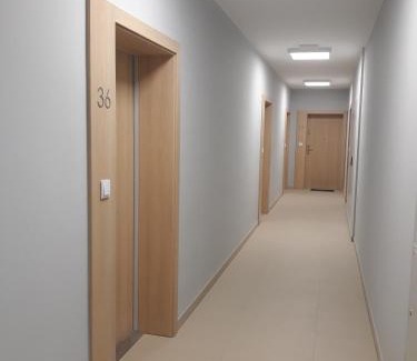 Grzegorzki Apartamento | Apartamenty Platinex