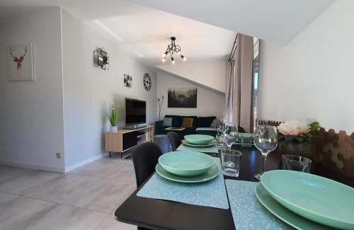Wisla Apartamento | Apartamenty Ski & Fun Spokojna